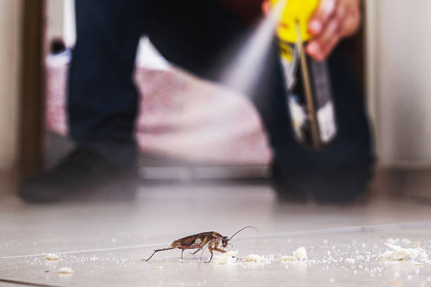 Best Mosquito Control Services  in Brookfield, NJ